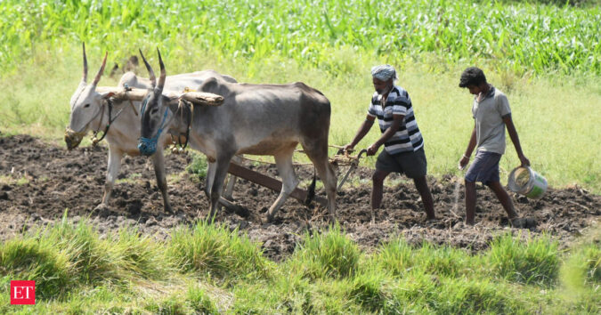 Kharif sowing recovers after July rains Kharif sowing recovers after July rains