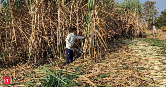 Sugar production hit by Red Rot disease, El Nino; govt taking measures: Pralhad Joshi ET logo