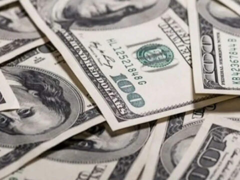 India raises $73 bn in forex inflows at record pace