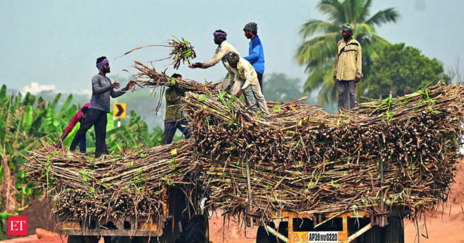 Sugar supply likely to improve on switch to fortnightly quota