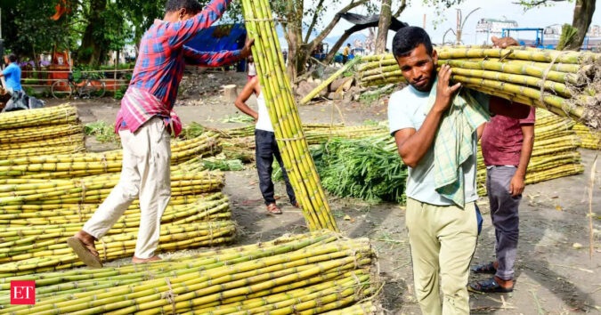 Maharashtra sugarcane farmers seek higher prices after sugar rally