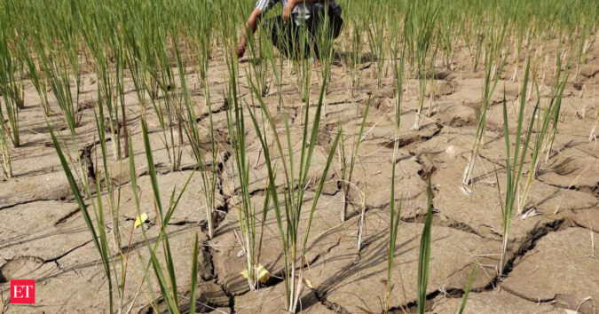 El Nino effect: Monsoon deficit hits 15%; Key pulses and oilseeds at risk ET logo