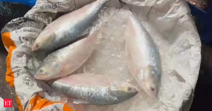 In reverse flow, India exports 500 tonnes of hilsa to Bangladesh in two months: Fish traders ET logo