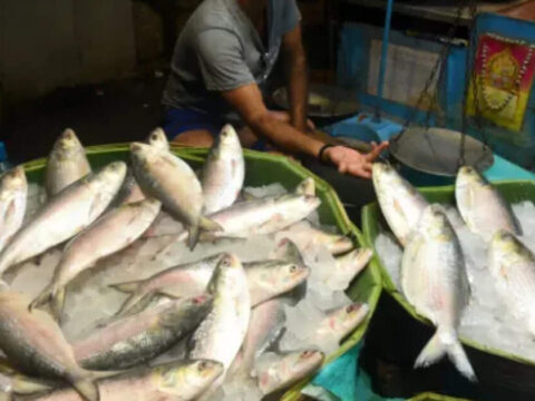 For Bengali Palates, It’s About Fish Fulfillment