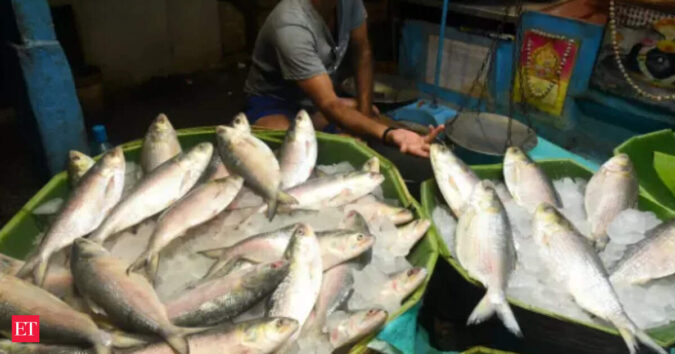 For Bengali Palates, It’s About Fish Fulfillment