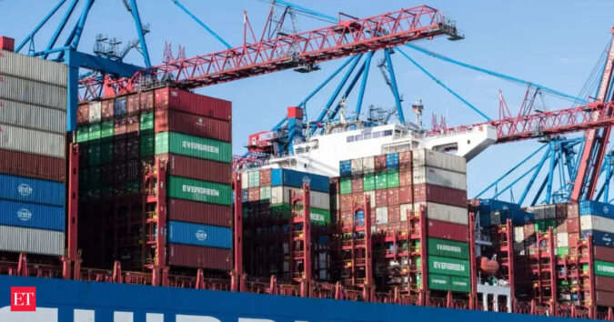 DGFT to set up central unit for trade applications ET Logo