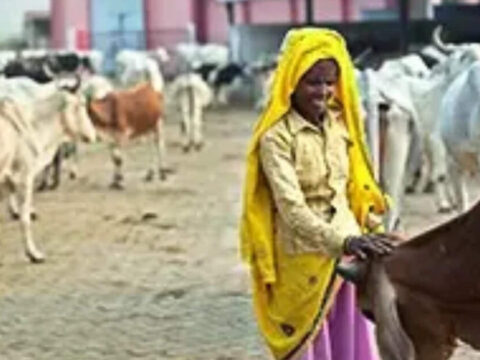 Govt rolls out GOBARdhan rules with assured CBG offtake, 10-year price support ET logo