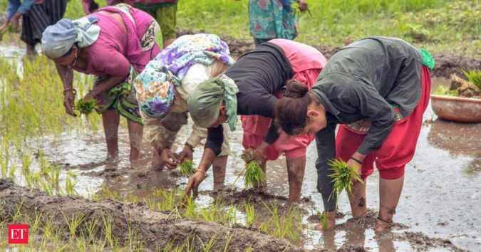 Karnataka announces Rs 2,500 input subsidy for drought-hit farmers: Dy CM Parameshwara ET logo