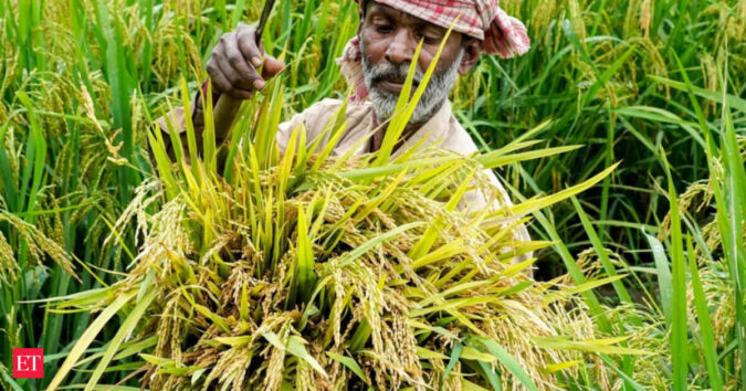 Agriculture minister Shivraj Singh Chouhan asks states to prioritise pulses, oilseeds in rabi crop plans