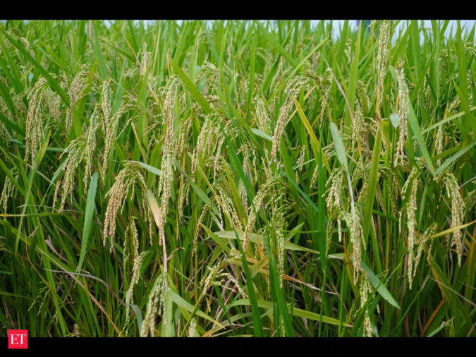 Bayer’s DirectAcres crosses 2,00,000 acres in India