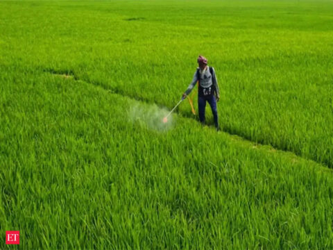 Bihar joins Maharashtra, UP in curbing sale of non-subsidised fertiliser