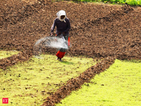 Uneven rains may keep price of spices elevated ET logo