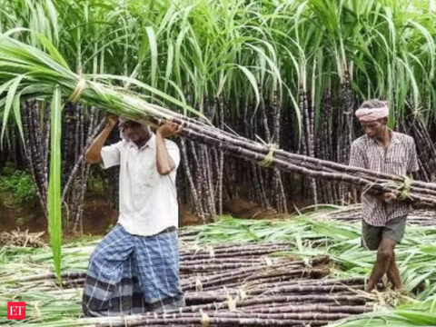 Karnataka sugarcane growers stage demo to press for their demands, district officials impose restrictions ET logo