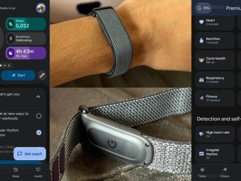 The Fitbit Air itself is priced at  ₹13,999 and is a minimalist design without a screen. (Vishal Mathur / HT Photo)